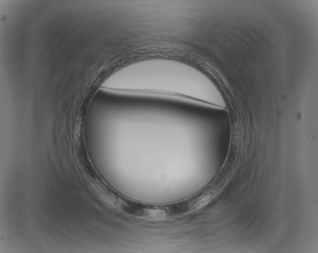 X0000085250509200703090951