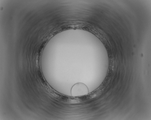 X0000085250510200703090951