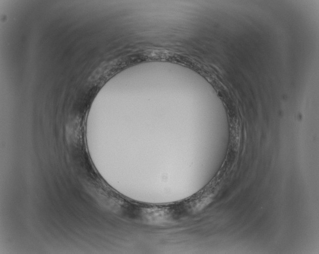 X0000085250511200703090951