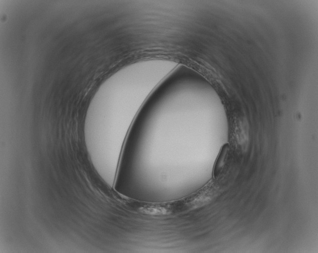 X0000085250512200703090951