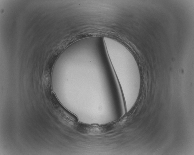 X0000085250513200703090951