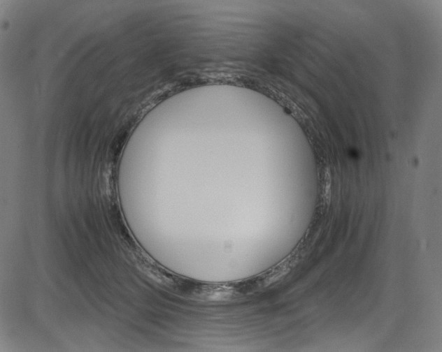 X0000085250514200703090951