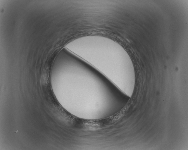 X0000085250515200703090951