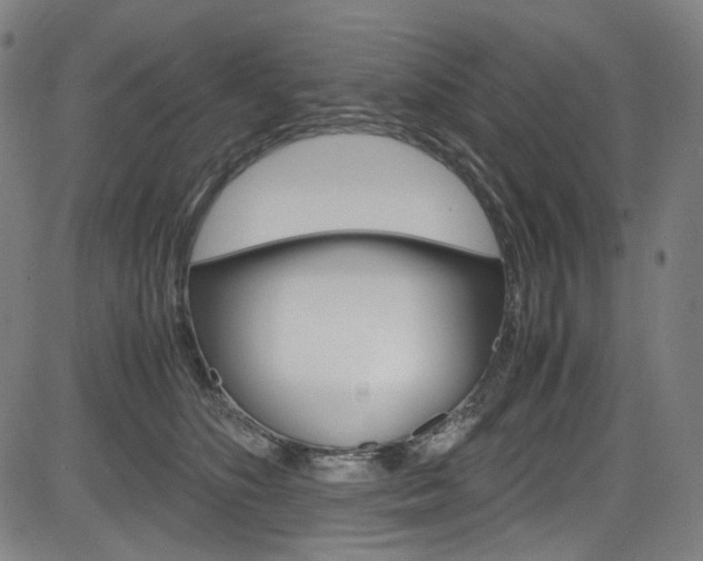 X0000085250516200703090951