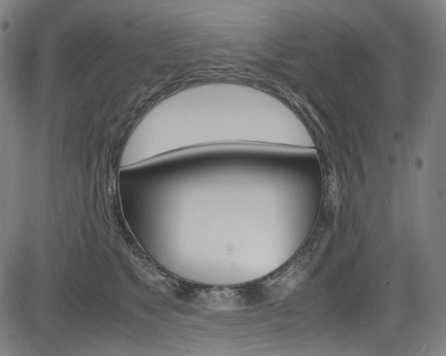 X0000085250517200703090951