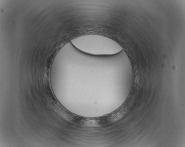 X0000085250518200703090951