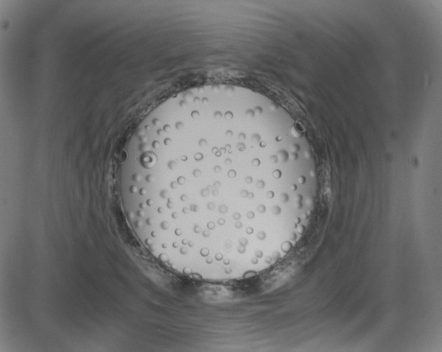 X0000085250519200703090951