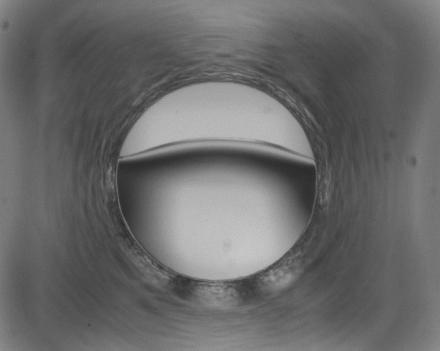 X0000085250521200703090951