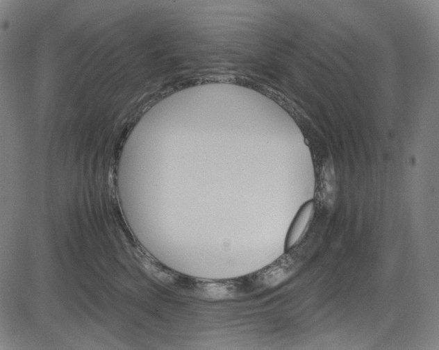 X0000085250522200703090951