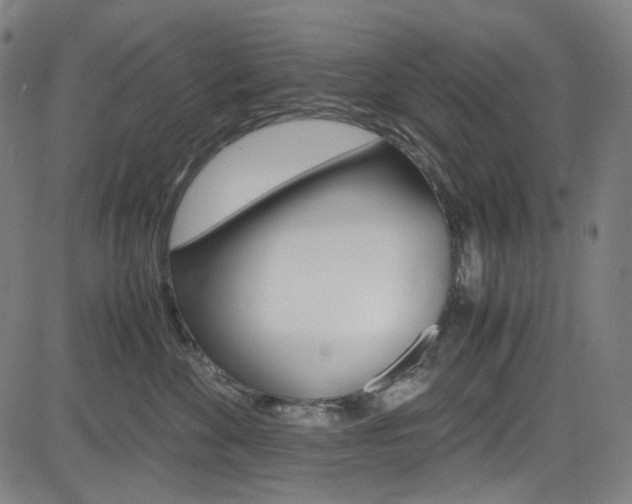 X0000085250524200703090951