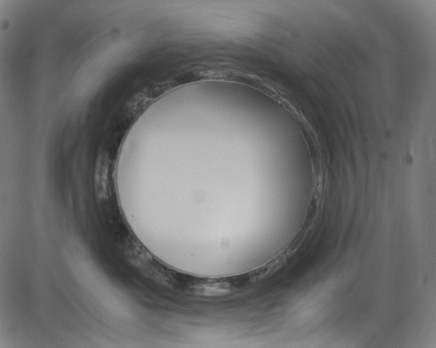 X0000085250525200703090951