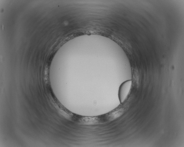 X0000085250526200703090951