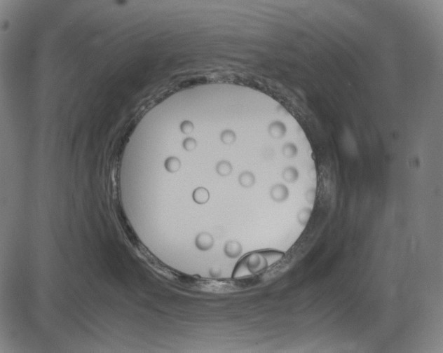 X0000085250527200703090951