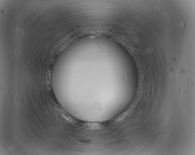 X0000085250528200703090951