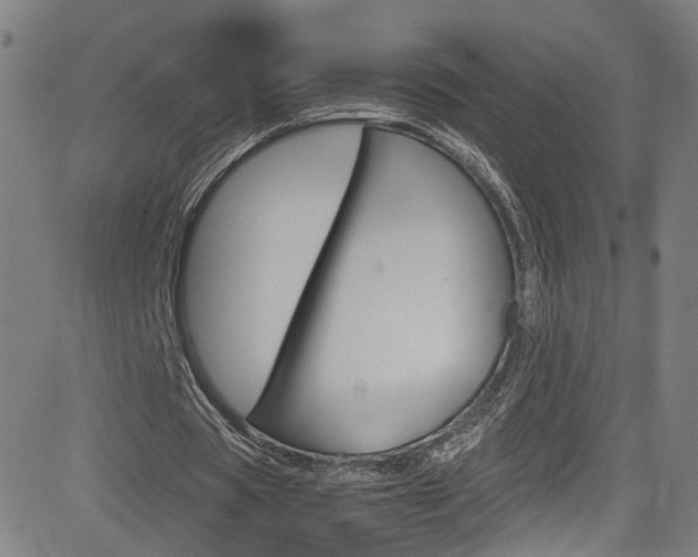 X0000085250529200703090950