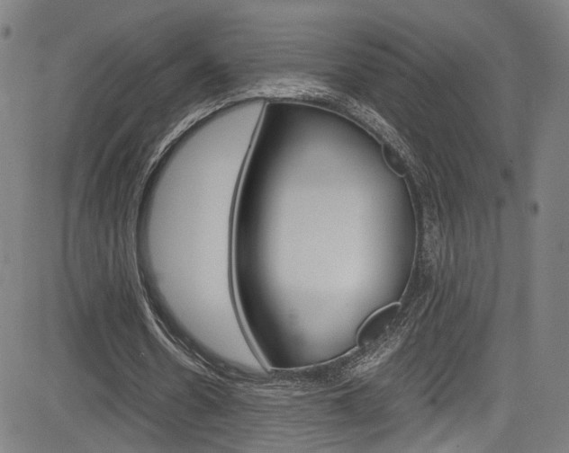 X0000085250530200703090950