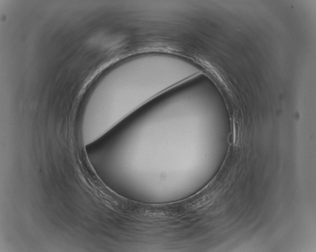 X0000085250531200703090950