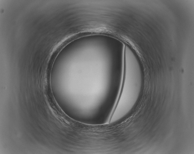 X0000085250532200703090950