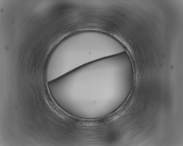 X0000085250533200703090950