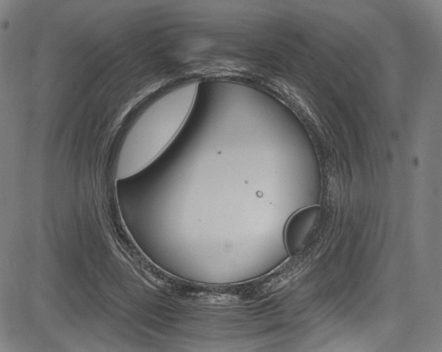 X0000085250539200703090950