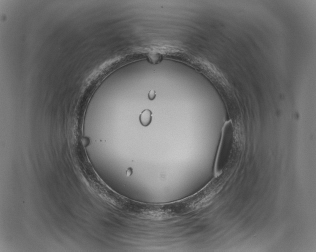 X0000085250540200703090950