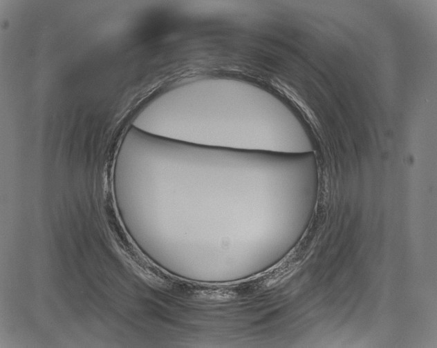 X0000085250541200703090950