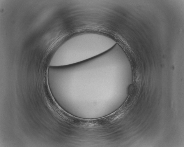 X0000085250542200703090950