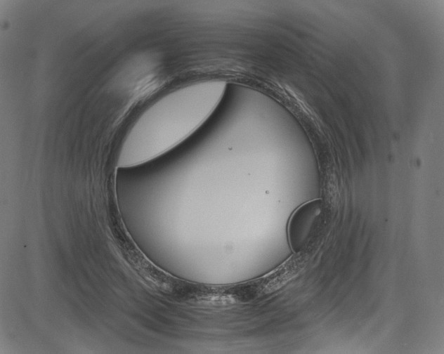 X0000085250543200703090950