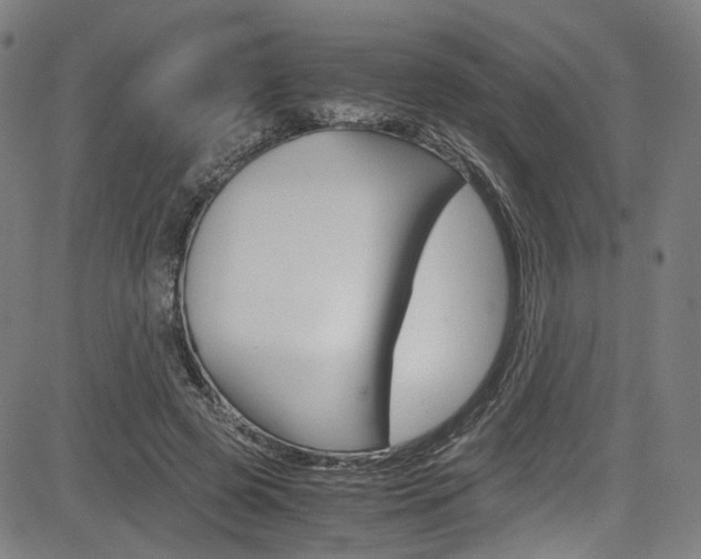 X0000085250545200703090950