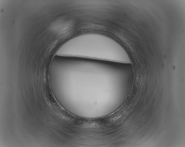 X0000085250547200703090950