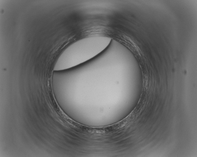 X0000085250549200703090950