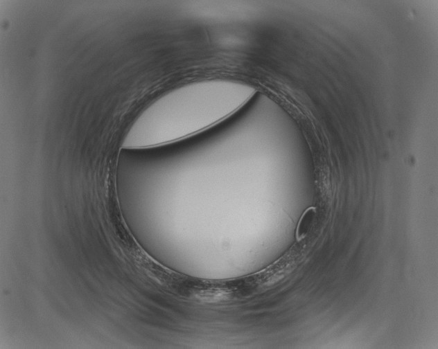 X0000085250551200703090950