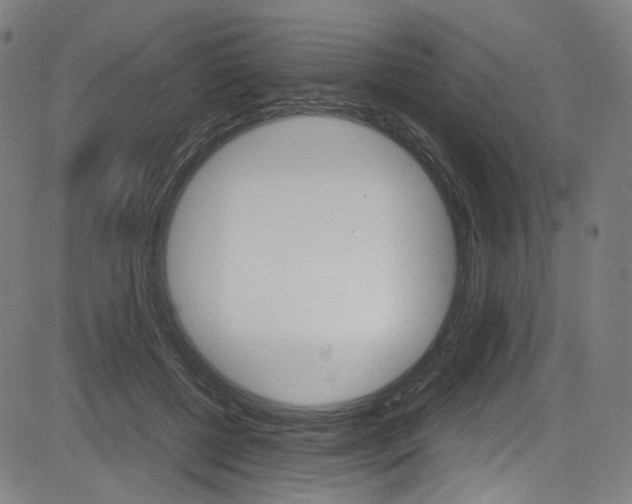 X0000085250552200703090950