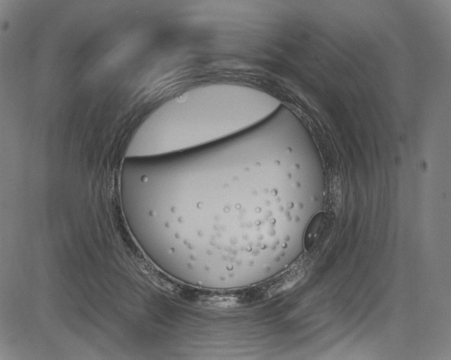 X0000085250554200703090950