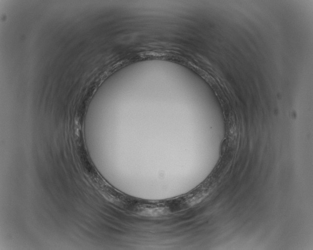 X0000085250555200703090950