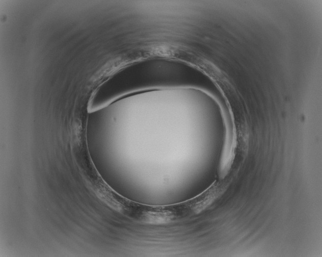 X0000085250556200703090950