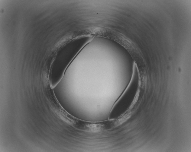 X0000085250558200703090950