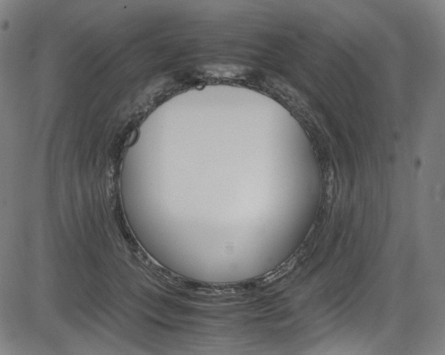 X0000085250559200703090950