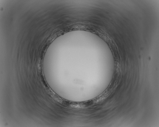 X0000085250561200703090950