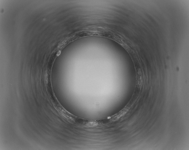 X0000085250562200703090950