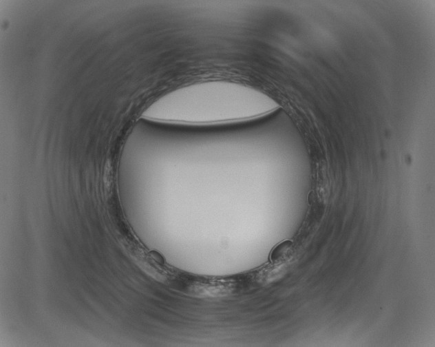 X0000085250563200703090950