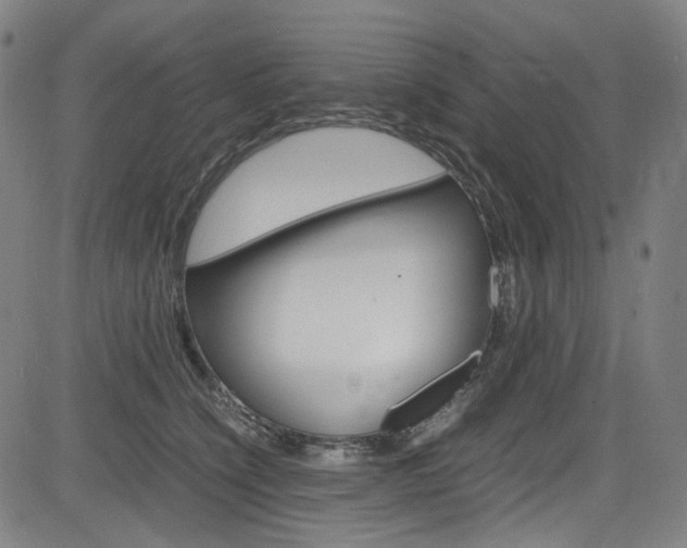 X0000085250564200703090950