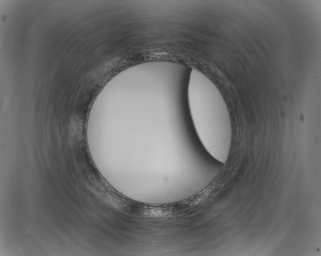 X0000085250565200703090950