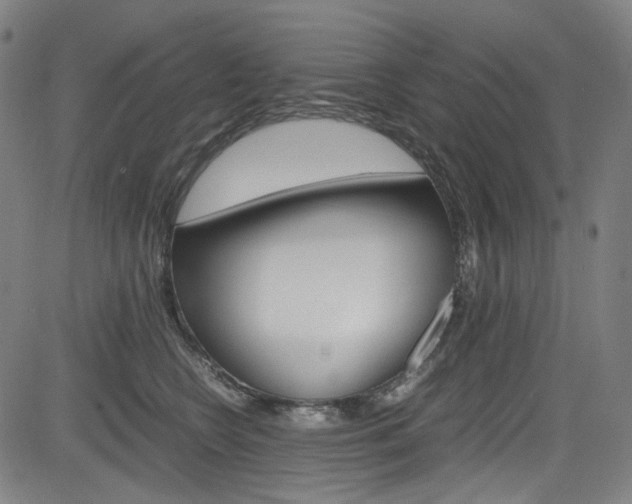 X0000085250566200703090950