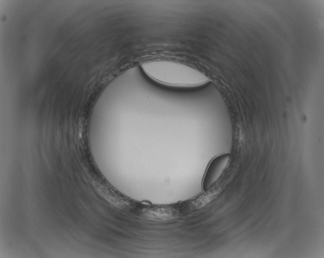 X0000085250567200703090950