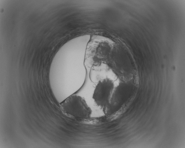 X0000085250569200703090950