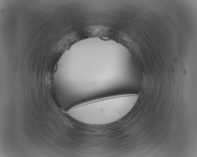 X0000085250571200703090950