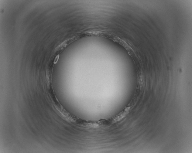 X0000085250572200703090950