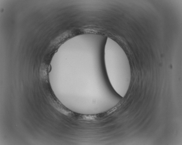 X0000085250573200703090950