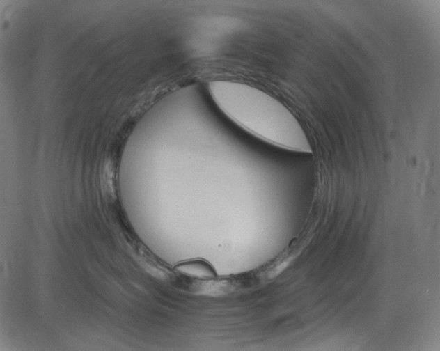 X0000085250575200703090951